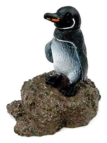 ネイチャーゾーン ガラパゴス諸島編 ガラパゴスペンギン 単品 ガシャポン ネイチャーゾーン ガラパゴス諸島編 ガラパゴスペンギン 単品 ガシャポン
