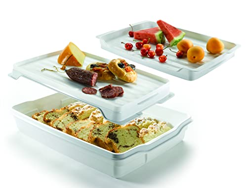 RECTANGLE CAKE CONTAINER LARGE PINK CURVER