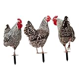 Décoration de ferme - le décor de piquet en forme de poulet en forme de poulet est très adorable et accrocheur, décoration de jardin