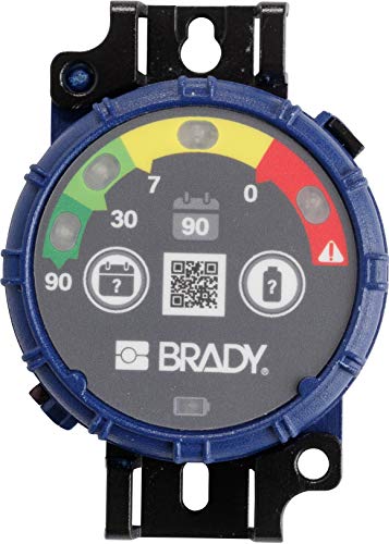 Brady® Inspection Timer with LED Lights 90 Days Pack of 10 Each