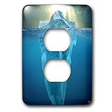  3dRose LSP_37690_6 \
