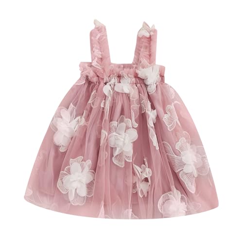 Gaono Baby Girl Flower Tutu Dress Sleeveless Rose Trim Butterfly Wings Fairy Tullde Dresses Birthday Party Summer Clothes (C-Pink, 2-3 Years)