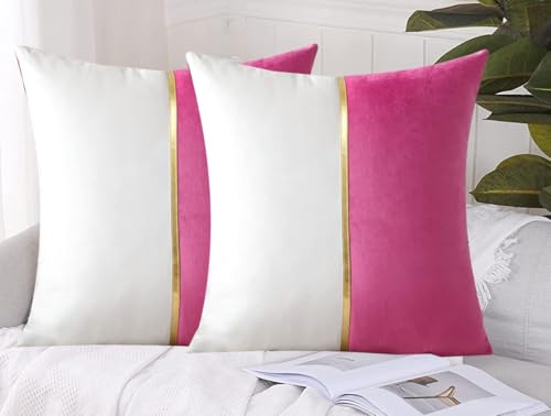 Image of HIMS Velvet Sofa Pillow Cover Set of 2, Luxury Cushion Cover 20 inch x 20 inch for Decorative Living Room Sofa Bedroom Car (20x20 Inch, Pink)