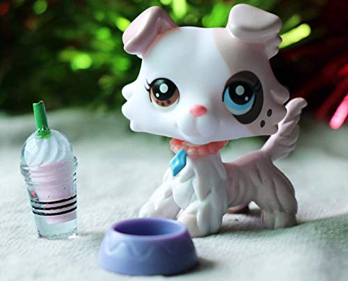 lps ice cream collie