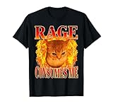 Rage Consumes Me Funny Angry Cat Meme Fire Graphic T-Shirt