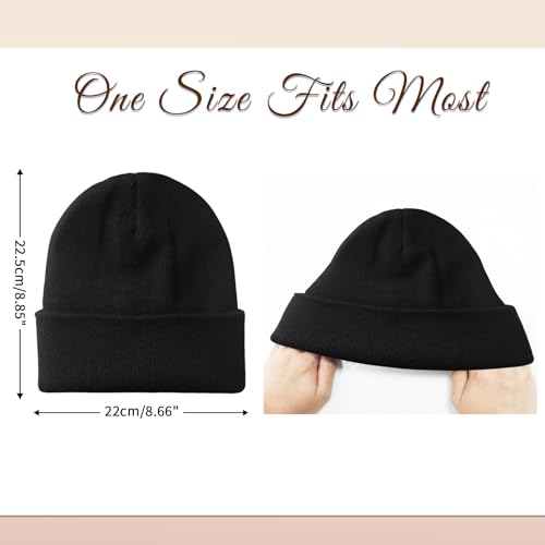 NPQQUAN Satin Lined Beanie for Women Silk Lined Beanies Winter Warm Soft Lining Cuffed Knit Beanie Hats for Woman