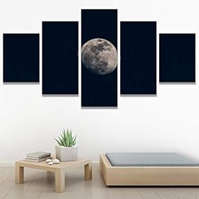 SIGNWIN 5 Panel Canvas Wall Art Aerial Astronomy...