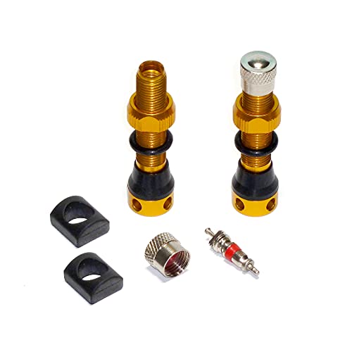 Valve tubeless RoadUp étanche 44mm Schrader FR21D anti-crevaison