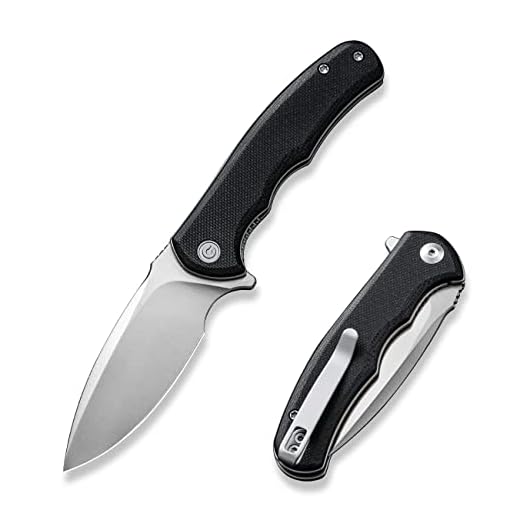 CIVIVI Mini Praxis Folding Pocket Knife, 2.98" D2 Steel Blade G10 Handle Small EDC Knife with Pocket Clip for Men Women, Sharp Camping Survival Hiking Knives C18026C-2