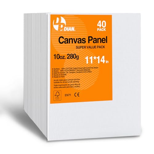 DPDIAN Leinwandtafeln 27,9 x 35,6 cm 40er Pack