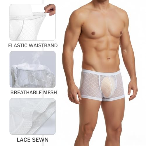 YINYOUYU Mens Sexy Ice Silk Underwear See Through Boxers Super Thin Sheer Trunk Bulge Pouch Boxer Briefs