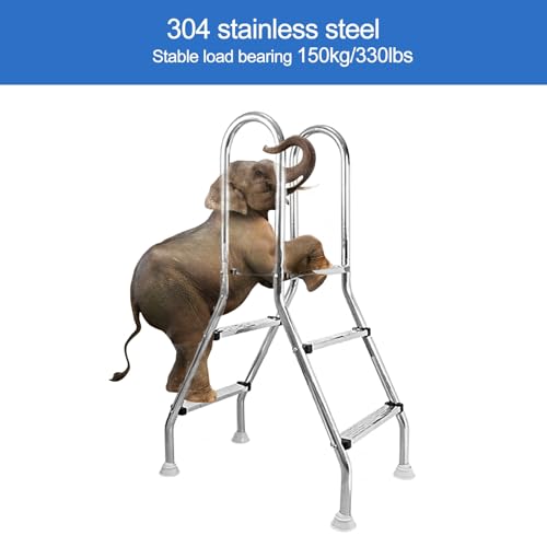 Escalera para piscina elevada de 2 peldaños en acero inoxidable 304 miniatura 4