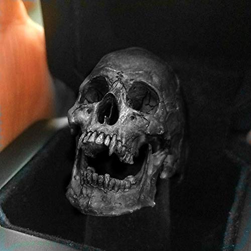 QZY Gótico Vintage Devil Satan Goat Skull Vampire Skull Ring Anillo Negro de Acero Inoxidable Punk Ring Fashion Men's Motorcycle Rock Jewelry Rings,Vampire Skull,9