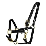 Utilisation polyvalente : les rênes d'entraînement équines conviennent à une variété de disciplines, du dressage à l'équitation de randonnée décontractée, ce qui en fait un ajout précieux à la collection d'équipement de tout cavalier