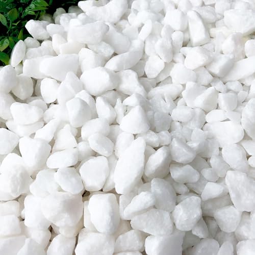 TAIKOH クリスタルホワイト クラッシュ 8分 20-30mm 化粧砂利 白 砕石 中 (クリスタルホワイト クラッシュ8分(20-30mm), 1kg)