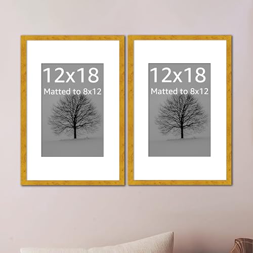 Image of Art Street Synthetic Document Large Size Wall Photo Frame, Set of 2 Big Frames For Wall Artwork, Certificates, Picture & Photographs Home Decor (12x18 Inch, Matted To: 8x12 Inch, Gold)