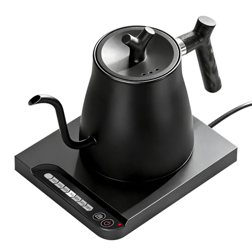 Gooseneck Electric Kettle with Variable Temp Control
