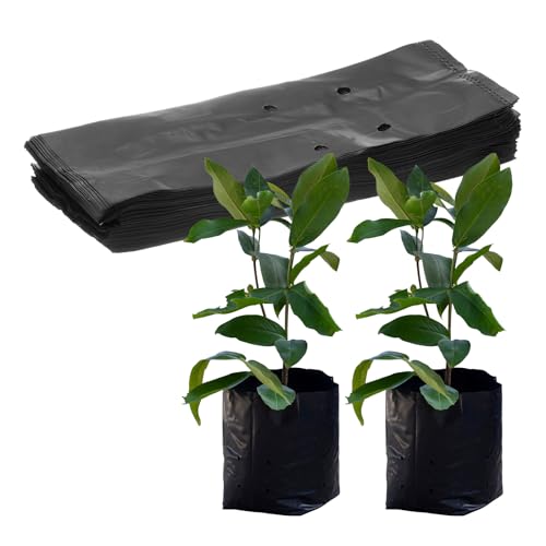 M METERXITY 50-Pack Nursery Growing Bags, 6.7" x 9.8" Thicken Plastic Nursery Bags
