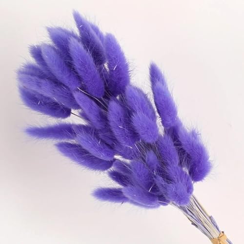Decoración de Hierba Pampas Secas 100 Pcs 45 cm miniatura 1