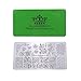 PUEEN Nail Art Stamping Plate - Nature Lover 02-125x65mm Unique Nailart Polish Stamping Manicure Image Plates Accessories Kit BH000661