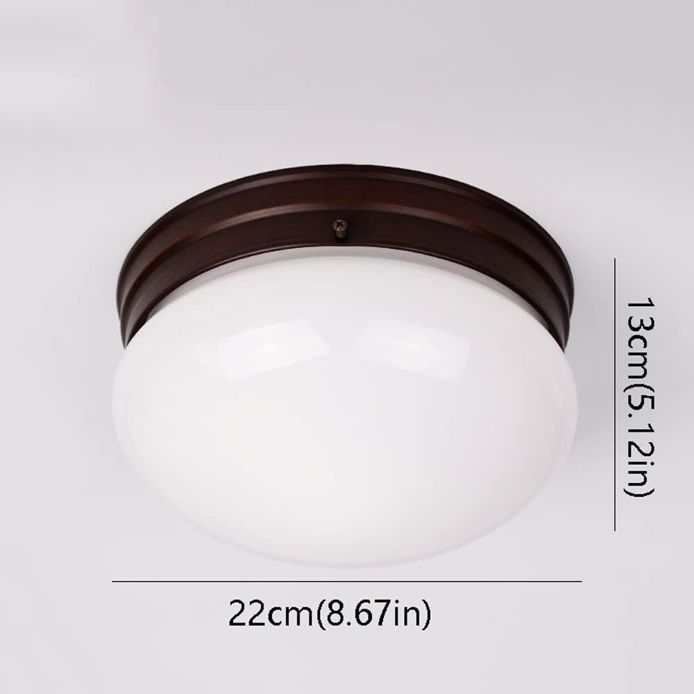 Chandelier, Milky White Glass Shade Ceiling Light 1-Light Small Ceiling Light Fixture Hallway Balcony Flush Mount Ceiling Light Home Bedroom Bathroom Close to Ceiling Light Fixture