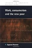 Work, Consumerism and the New Poor (Issues in Society)