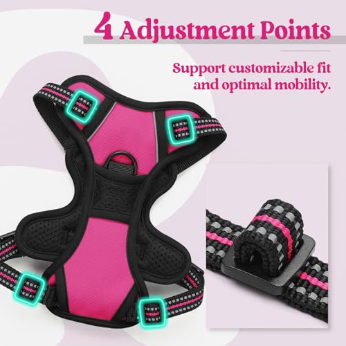Image of rabbitgoo Dog Harness No Pull with 2 Leash Clips, Adjustable Soft Padded, Reflective Oxford No Choke Pet Vest with Easy Control Handle for Puppy, Hot Pink, XS