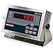 Rice Lake, 480 Legend Series, Digital Weight Indicator, 115 VAC, NTEP