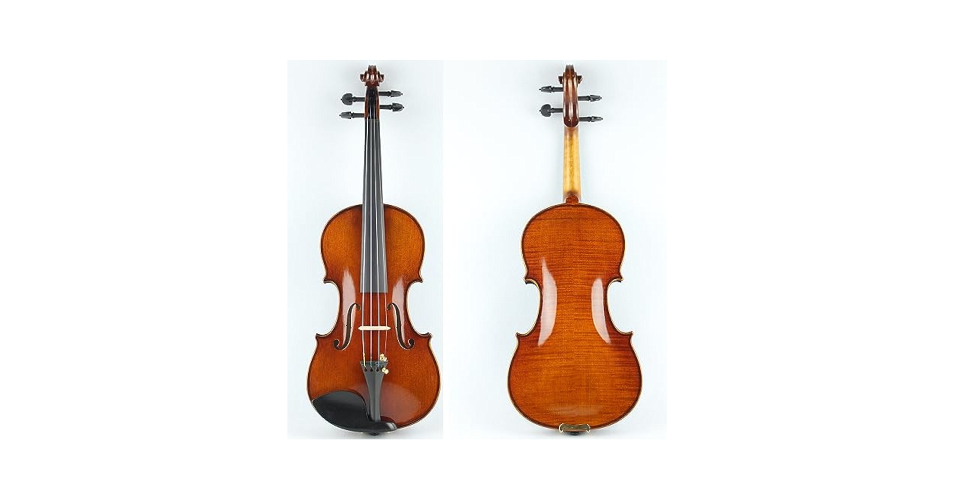 バイオリン セット4/4 Amazon | シルビオ 4/4 フルサイズ大人用バイオリンセット