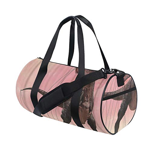 ZOMOY Bolsa de Deporte,Dinosaurio Animal T-Rex,Nuevo de Cubo de impresión Bolsas de Ejercicios Bolsa de Viaje Equipaje Bolsa de Lona
