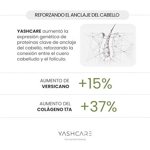 Champú Anticaída Hombre y Mujer con Biotina 10.000 µg - Champú Sin Sulfatos Ni Parabenos - Reduce la Caída por Quiebre y Fortalece la Raíz – Biotina para un Cabello más Fuerte de Uso Frecuente 450 ml - imagen 8