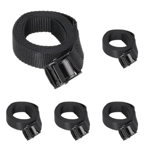 V(Takagi) ג߃xg ubN 2m (× 5)