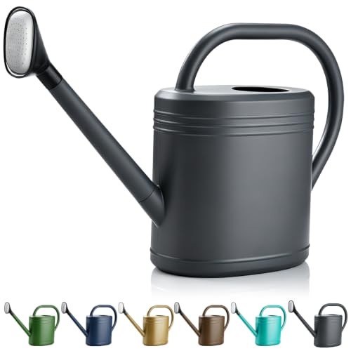 IRIS USA Watering Can with Removable Sprinkler Head, 2 Gallon