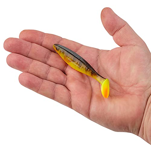 Berkley PBCTCS pour réussir vos sorties de pêche difficiles