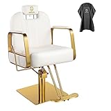 LUXMARS Reclining Barber Chair Salon Chair Rolling Swivel Hair Stylist Hydraulic for Hair Salon 360 Degrees Tattoo Salon Beauty Spa Chair Styling Equipment - White