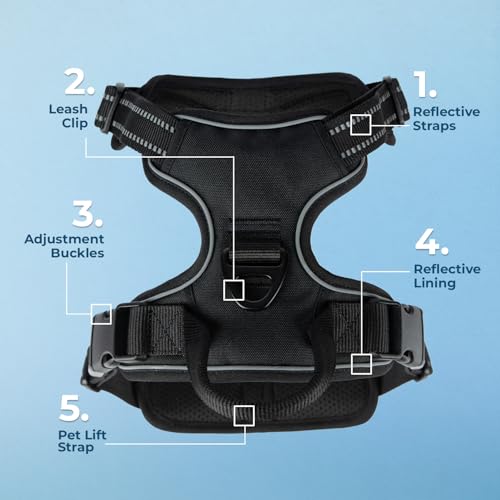 Image of Voyager Dog Harness Dual Leash Attachment No-Pull Control Adjustable Soft but Strong Pet Harness for Medium and Large Dogs with 3M Reflective Technology, Leash Set Black Nylon, XS (Chest: 13-16 inch)
