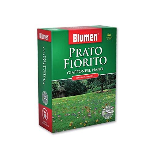 Blumen Prato Fiorito Margherite 500g