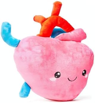 41-GqG4AOqL._AC_UF350,