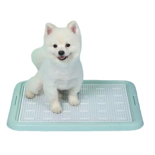 uNexPonvgC 񂿂 gC bVg g[jOg[ ȒP ^ ^ p hbOg[p  gC{bNX (M)