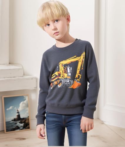 Image of Popshion Toddler Boys Sweatshirts Dinosaur Long Sleeve Pullover Crewneck Shirts Cartoon Tee Sport Tops for Kids 1-8T