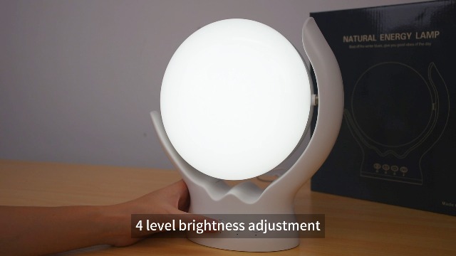 Voraiya Rotatable Light Therapy Lamp,10000 Lux Sunlight Lamp with UV-Free,3 Color Temperature & 5 Brightness Level & Timer,Therapy Light for Home, Office, Decoration