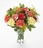 Sendabunch Carnation Bouquet, 20 Fresh Stems, Hand-Arranged Mixed Carnation Flowers, Fresh Cut Blooms with Gift Message Card, Care Guide & Elegant Wrap