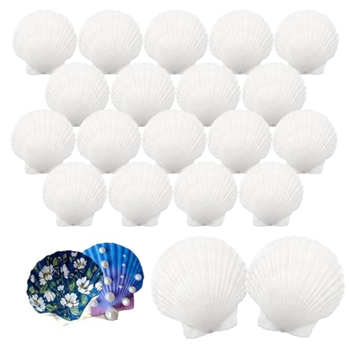 IOPJLK Weiß Jakobsmuschel 20 Stück Natürliche Deko Muscheln Groß Muschelschalen 6-8cm für DIY Malerei Kunst, Handwerk Set, Muscheln zum Bemalen, Ostergeschenke, Muschel Windspiel