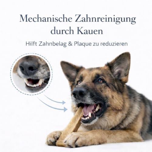 Alp Chews Hartkäse für Hunde – Extra Kleine 3 Stück – Natürlicher Kauknochen – Kaukäse zur Zahnpflege & Langen Kaudauer