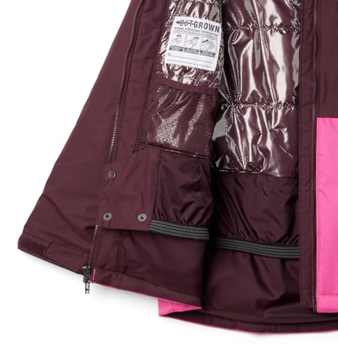 Image of Columbia Kids Alpine Action III Jacket (Little Kids /Big Kids)