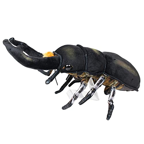 激レア　美品　沖縄産　ソメワケカタベガイ ハチジョウヒラタクワガタ 東京都 八丈島中之郷産 ペア（累代WF4