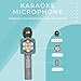 Wireless Express - Sing-Along Bling Bluetooth Karaoke Microphone and Bluetooth Stereo Speaker All-in-One (Silver Bling)