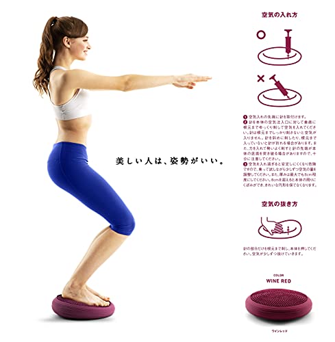 La-VIE(ラヴィ) 美姿勢 クッション 美人座 美人 座る 姿勢改