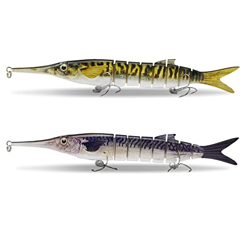 The Best Bait for Garfish A Guide to Catching More Fish