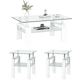 Meihua Glass Coffee Table and End Table Set of 3, Modern Living Room Table Set with Tempered Glass & Metal Frame, Double-Layer Side Tables (Clear Glass + White Leg, Set of 3)